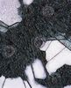 sgenomicsv OW-Tt匴 C