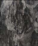 東田 理佐《Pered aran》