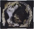 sRebirth`2012`Utc