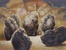 絵画《哄 笑》生方 純一