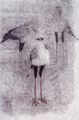 {s̒Ɂtđq 