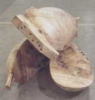 sX̃_Xti 