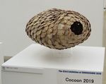 ܏\ jsCocoon 2019t