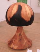 関谷 駿《魂のゆらめき》